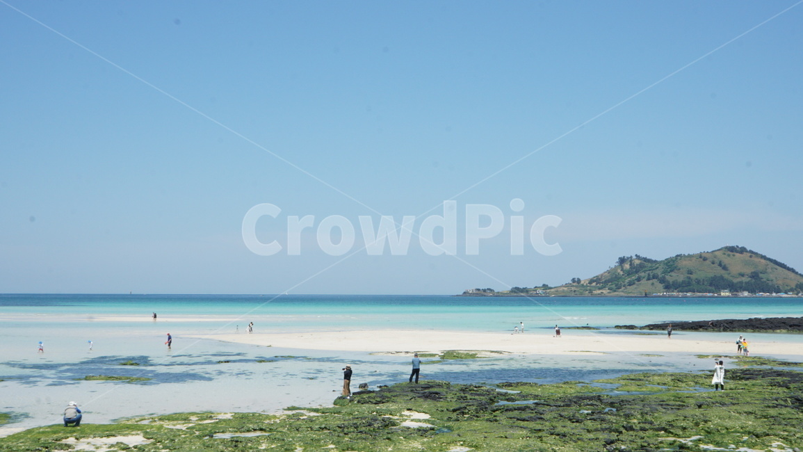 제주도,제주,제주바다,바다,여름,해변,바다,beach,sea,제주도,jeju,jeju island,land,땅,outdoors,옥외,nature,자연,human,인간,person,사람,water,물,ocean,대양,shoreline,해안선