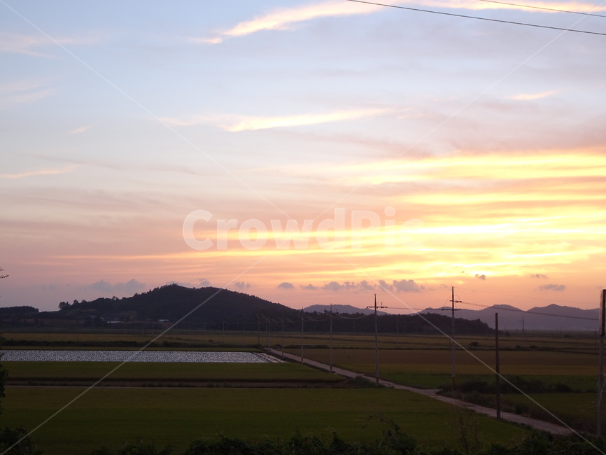 하늘,태양,노을,해,시골,자연,풍경,nature,landscape,outdoors,옥외,grassland,목초지,field,들