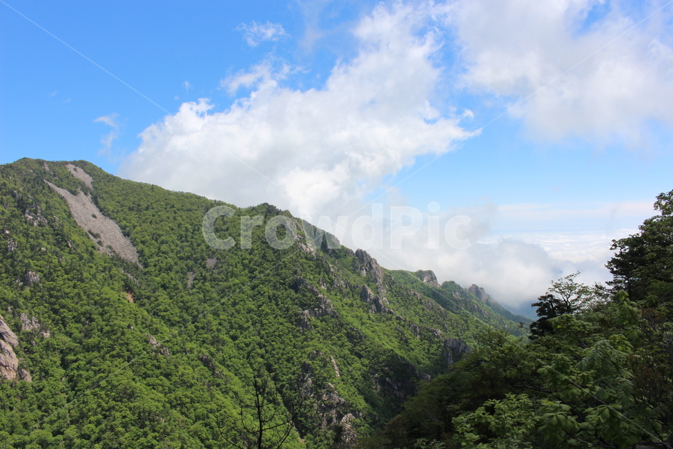 nature,자연,outdoors,bluesky,sky,cloud,tree,climb,설악산,산,등산,초록,파란하늘,자연,풍경,nature,landscape