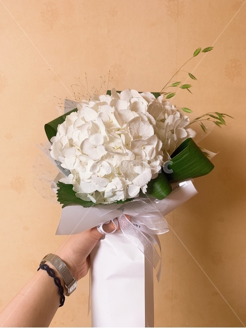 plant,식물,flower,꽃,선물,기쁨,여자친구,사랑,감사,흰꽃,하얀색,마음,꽃,flower,기념일,축하,anniversary,congratulation,celebrate,celebration