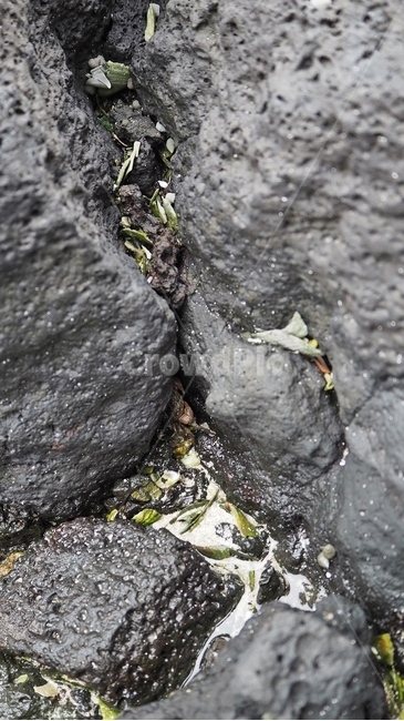 돌,자연,nature,rock,배경,pattern