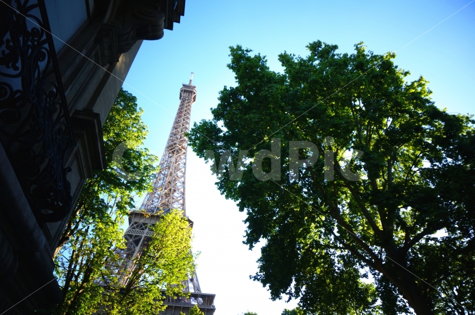 파리,에펠탑,eiffel,tower,eiffeltower,에펠,타워,풍경,유럽,여행,paris,europe,france,건축물,건물외관,exterior,building,structure,architecture,construction,해외,외국,세계,foreign,oversea,world,랜드마크,landmark,tourist attraction