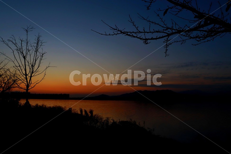 을숙도,일몰,석양,나무,낙동강,자연,풍경,nature,landscape