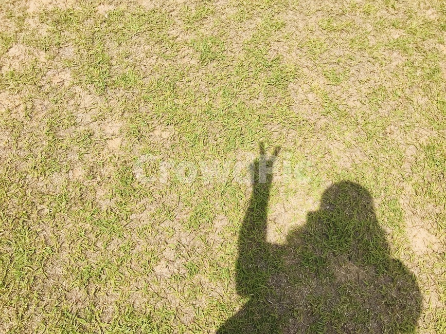그림자,햇빛,브이,감성,잔디,사람,여자,낮,아침,따뜻함