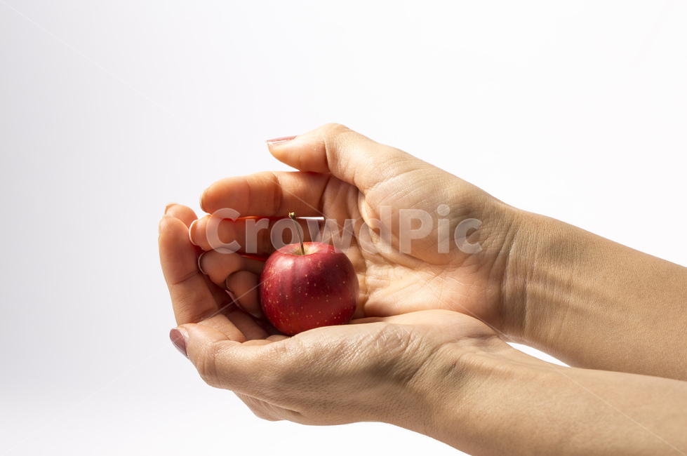 손,손가락,사과,과일,열매,꽃사과,빨간색,비타민,미니사과,사람,인물,인간,human,person,신체일부,몸,body