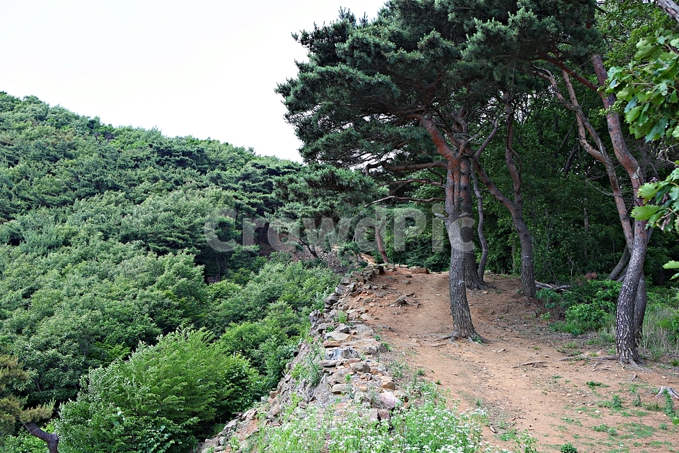전등사,전등사둘레길,길,돌담,성곽,풍경