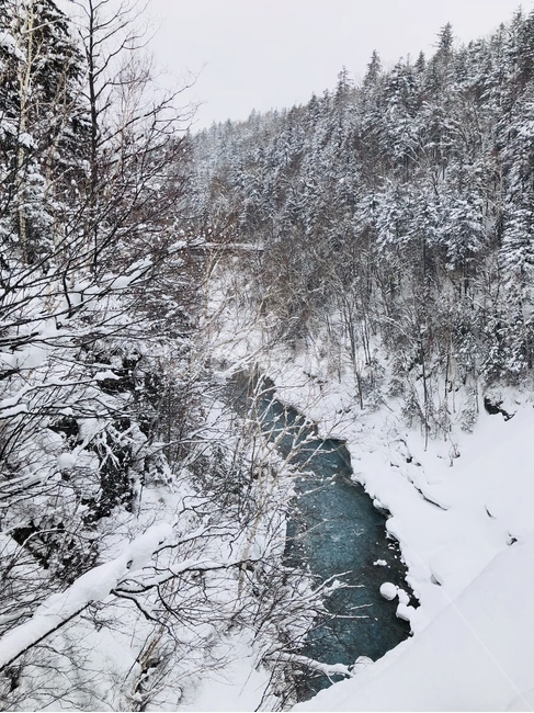 겨울,시냇물,강가,눈,풍경,일본,비에이,자연,겨울,계절,winter,season,자연,풍경,nature,landscape,tree,나무,plant,식물,fir,전나무,outdoors,옥외