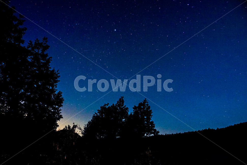 별,겨울,밤,새벽,풍경,야경,밤,풍경,nightscape,night,landscape,실루엣,그림자,silhouette,shadow,nature,자연,outdoors,옥외