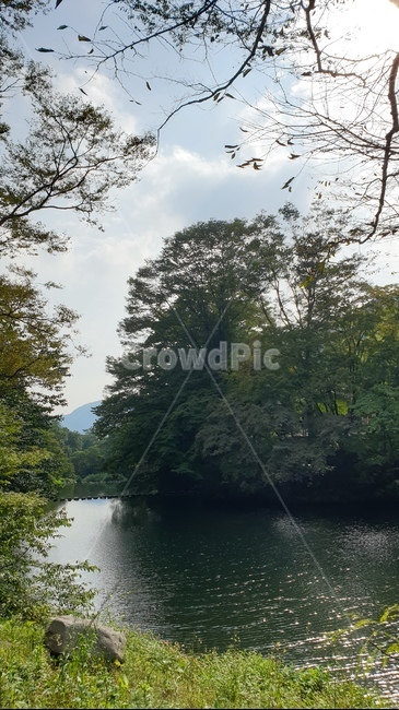 호수,자연,식물,nature,옥외,water,물,outdoors,하늘,백양사,구름,나뭇가지,풀,초록색,잔잔한,힐링,healing,green,tree,자연,풍경,nature,landscape