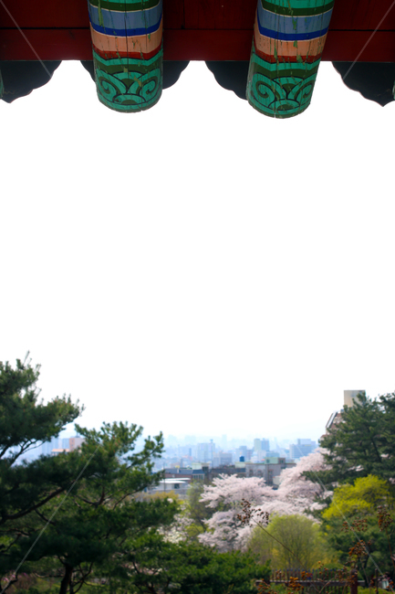 처마,한옥,지붕,봄,건출물,봄,계절,spring,season,한국전통,한국문화,korean traditional,korean culture