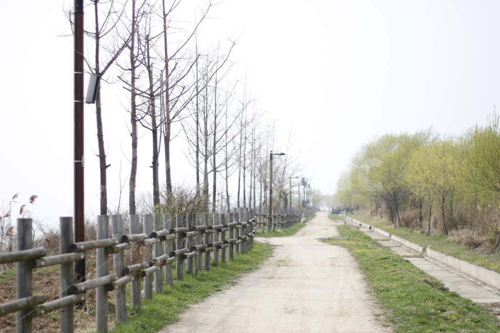 공원,가로수,나무,자연,식물,잔디,하늘,산책,봄,자연,풍경,nature,landscape,path,통로