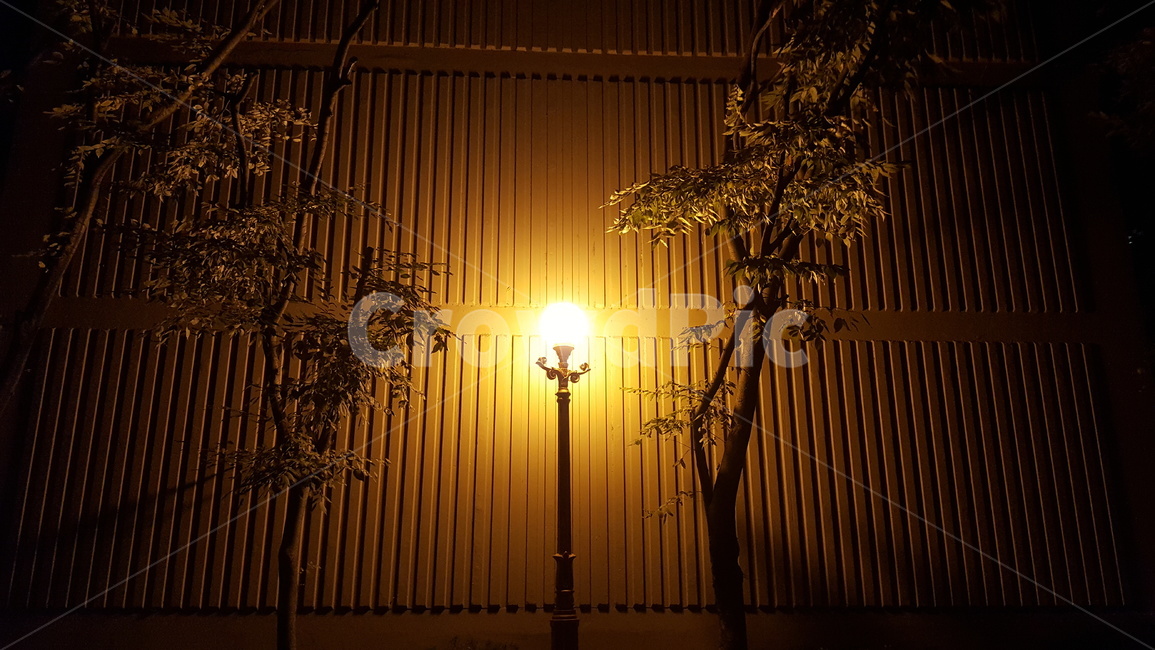 가로등,밤,조명,분위기,공원,야경,밤,풍경,nightscape,night,landscape,flare,플레어,light,빛,sunlight,햇빛
