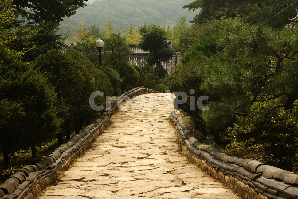길,나무,숲,오솔길,외길,풍경,자연,풍경,nature,landscape,flagstone,판석,path,통로,walkway,보도,slate,슬레이트