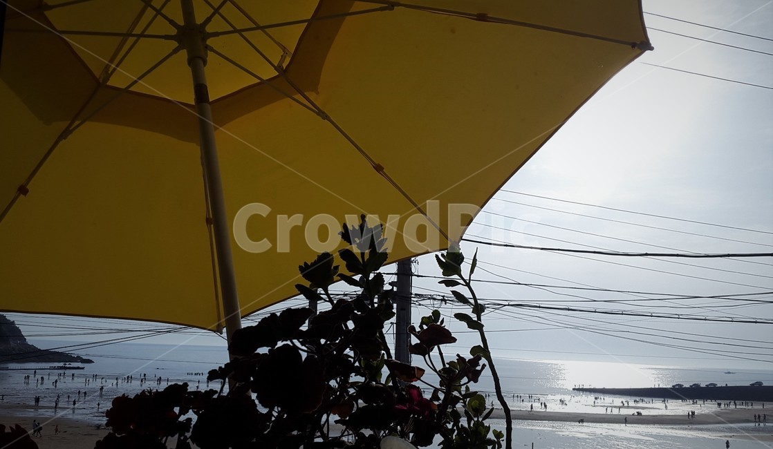 파라솔,피서,바캉스,해변,바다,휴가,힐링