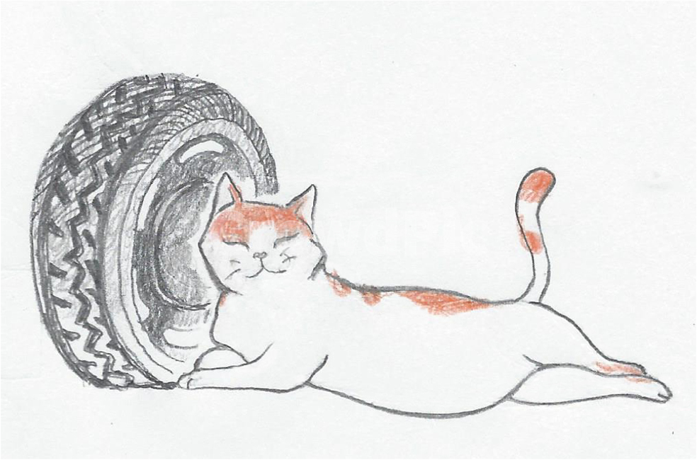 drawing,그림,art,미술,고양이,길고양이,고양이쉼터,그래픽,일러스트레이션,graphic,illustration