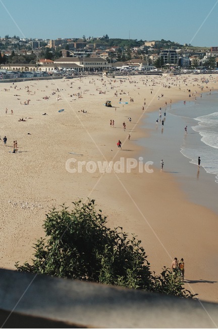 Vacation,Tamarama Beach,australia,holiday,sea,Bondi Beach,Beach,ocean,outdoors,sight,Sydney,landscape
