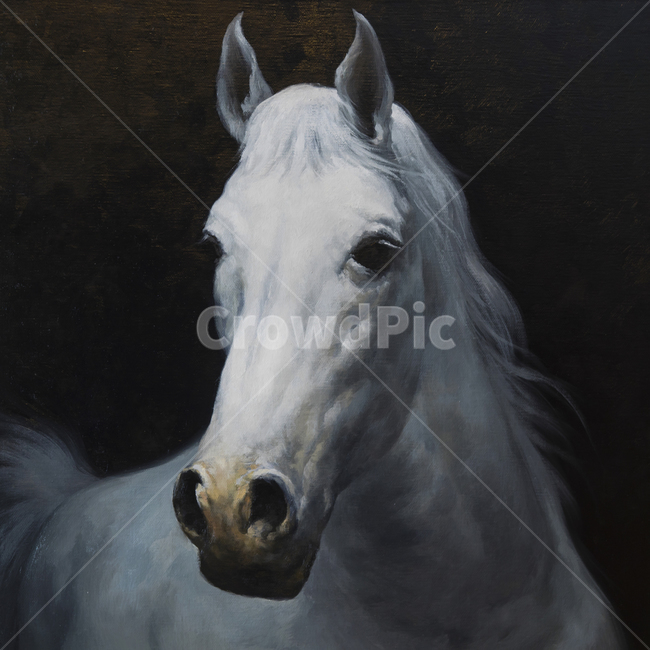 말,말그림,유화,예술,그림,백마,미술,교육,색상,컬러,바탕,배경,배경이미지,백그라운드,동물,animal,예술,art