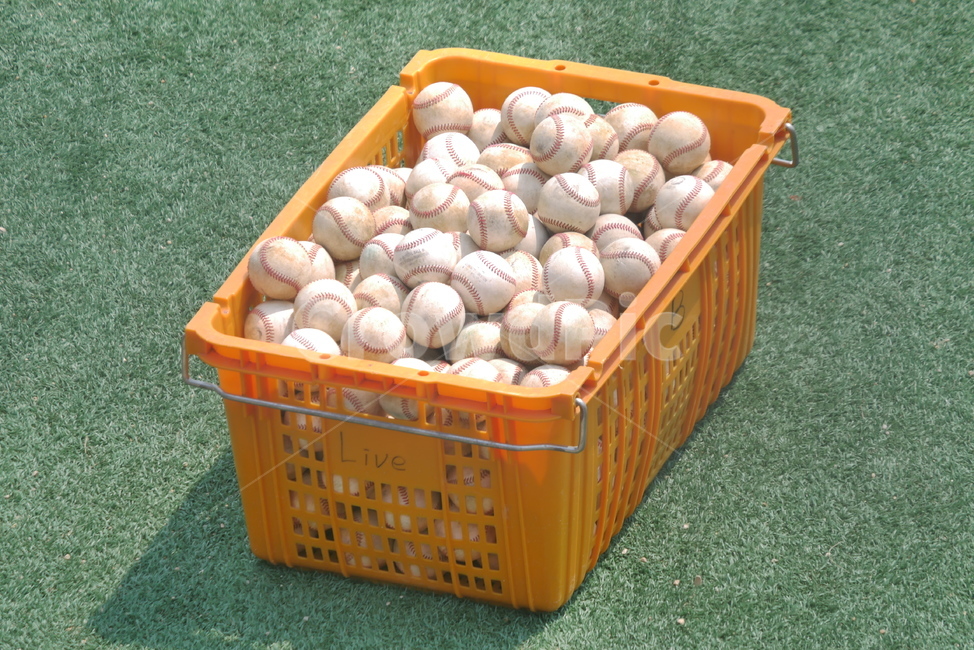 야구,야구공,야구장,공,ball,baseball,구기종목,운동,스포츠,sports,스포츠,레저,운동,sports,leisure,exercise