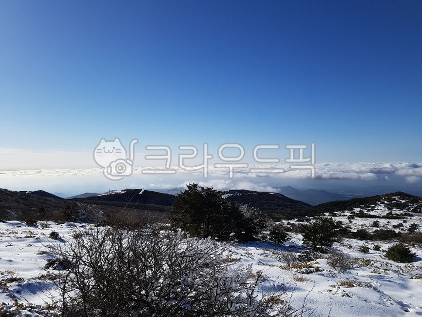 제주도,한라산,설산,눈오는날,눈내리는풍경,눈