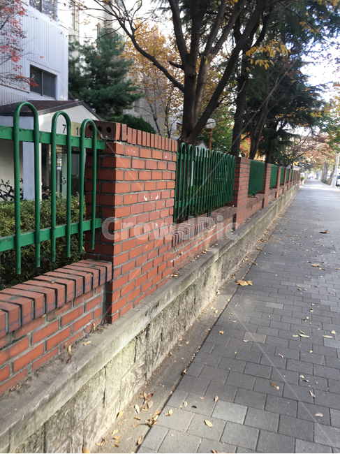 담,거리,나무,낙엽,풍경,보도블럭,생활,건물,wall,street,sidewalkblock,scenery,deciduous,tree,building,life,난간,railing