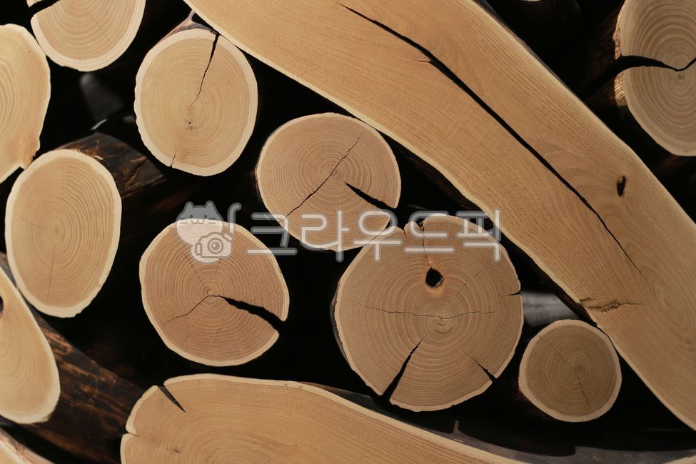 lumber,log,one by one,raw wood,pattern,wood background,background paper,separation,firewood,Tree,cross section of tree,growth ring,wood,circle