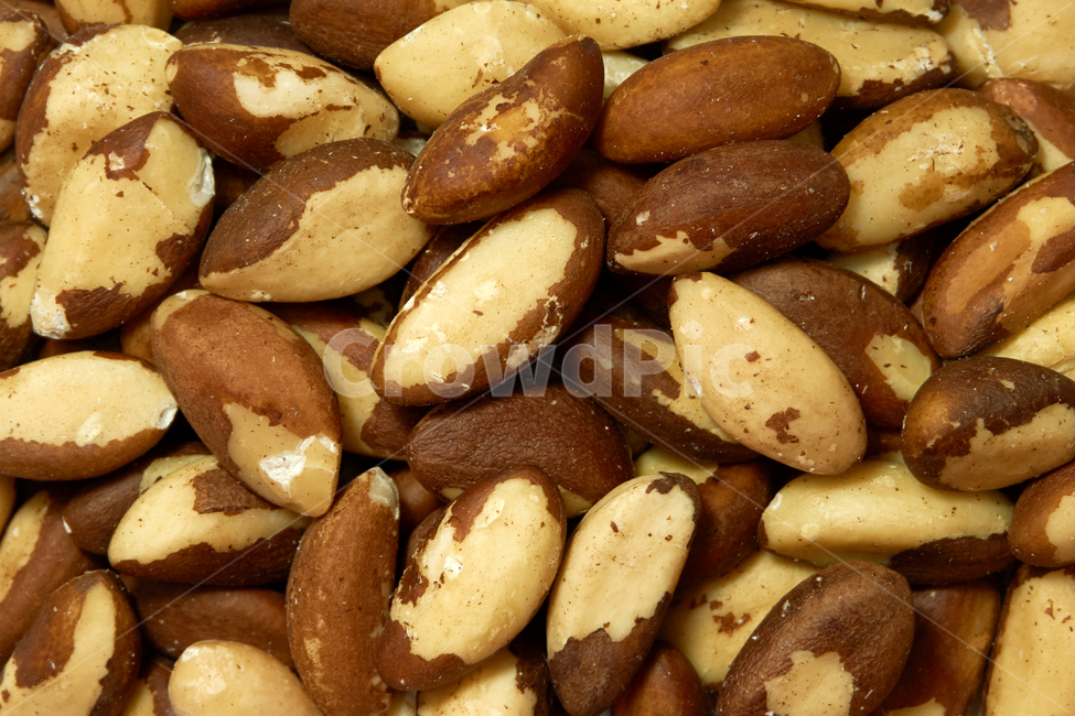 브라질넛,브라질너트,견과,맛있는,음식,견과류,열매,간식,식품,영양,슈퍼푸드,너트,웰빙,고소한,쌓여있는,씨,씨앗,오브젝트,음식,식재료,요리,food,cook,meal,dishes,food reserves,콩류,견과류,beans,pulse,nuts,dry fruits