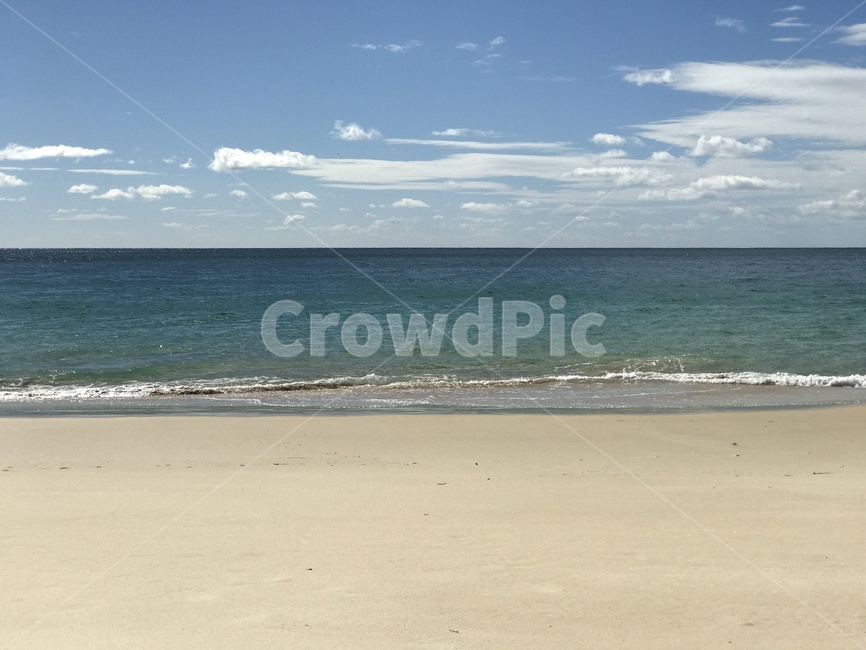 호주,australia,엘리자베스해변,elizabethbeach,pacificpalms,바닷가,겨울해변
