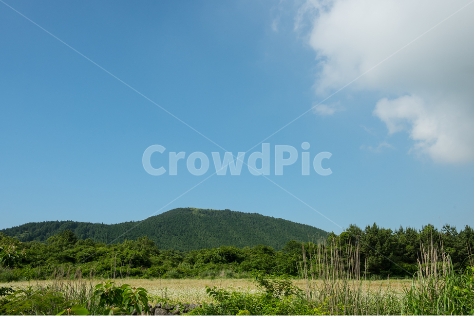 제주도,풍경,자연,하늘,산,들,상쾌한,맑은,깨끗한,푸른,차분한,배경,조용한,녹색,하늘색,하얀색,뭉개구름,나무,솜털구름,들판,풀,시골,자연,풍경,nature,landscape,한국자연풍경,한국자연경관,korea nature landscape,제주도,jeju,jeju island,outdoors,옥외