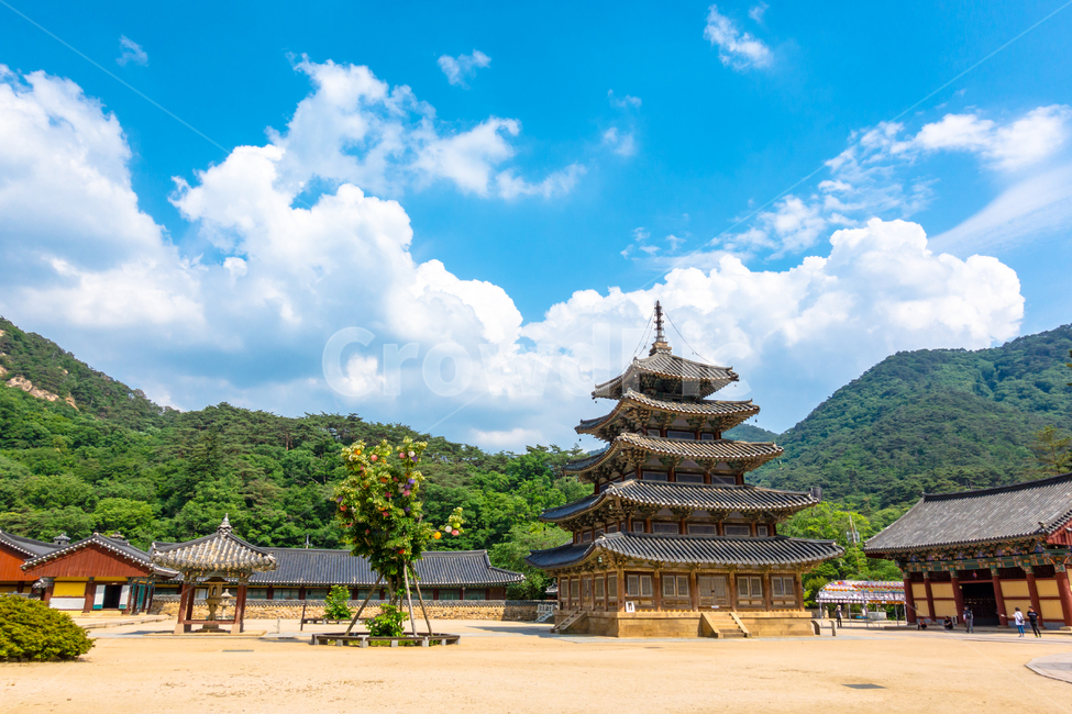 법주사,한국,속리산,절,종교,건물,한국전통,한국문화,korean traditional,korean culture,종교,신앙,religion,belief,faith,건축물,건물외관,exterior,building,structure,architecture,construction