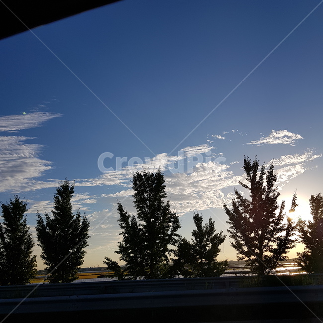 하늘,구름,나무,도로위,맑음,햇빛,오후,sunset,나뭇잎,눈부신