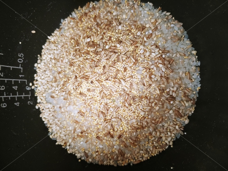 잡곡밥,쌀,곡류,잡곡류,쌀씻기,밥짓기,밥,잡곡,밥통,밥솥,음식,food