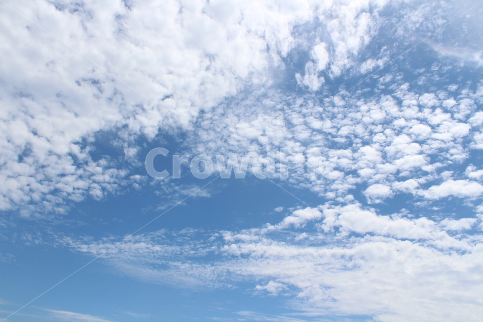 하늘,파란하늘,sky,흰구름,cloud