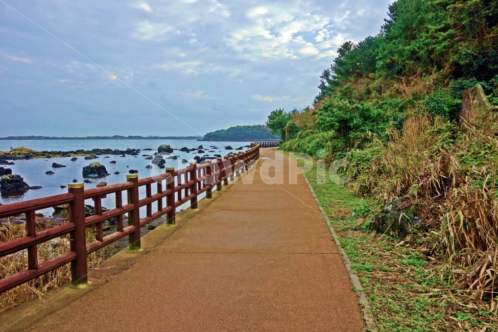 제주도,오조리,해안산책로,바다,숲,펜스,나무,길,산책,해안,해안가,바닷가,돌,바위,제주,제주도여행,제주여행,여행,자연,풍경,경치,아름다운,전망,그림,같은,뷰,흰,구름,하늘,푸른,자연,풍경,nature,landscape,한국자연풍경,한국자연경관,korea nature landscape,제주도,jeju,jeju island,handrail,난간,banister,railing