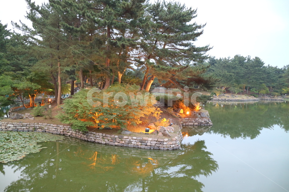 경주,안압지,동궁과월지,야경,호숫가,호수가,호수가야경,water,물,tree,나무,plant,식물,outdoors,옥외,nature,자연,land,나라