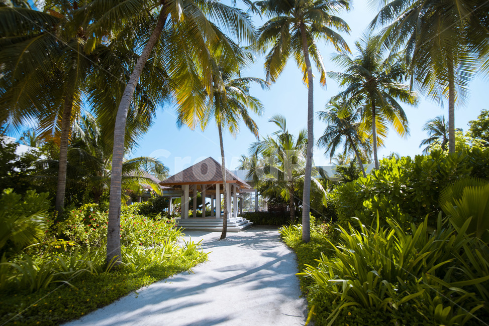 몰디브,maldives,바다,sea,하늘,풍경,휴가,휴양지,구름,cloud,여행,traveling,vacation,trip,여름,계절,summer,season,자연,풍경,nature,landscape,해외,외국,세계,foreign,oversea,world,세계자연풍경,해외자연풍경,외국자연풍경,world nature landscape,여행,휴가,traveling,vacation,trip,outdoors,옥외,garden,정원,arbour,정자