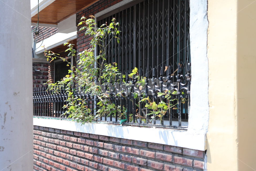 담장,나무,초록색,빨간벽돌,바람,건축물,건물외관,exterior,building,structure,architecture,construction