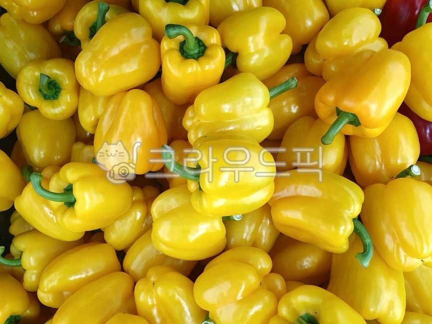 파프리카, 피망, 야채, 채소, vegetables, 사진,이미지,일러스트,캘리그라피 - 스타크7작가
