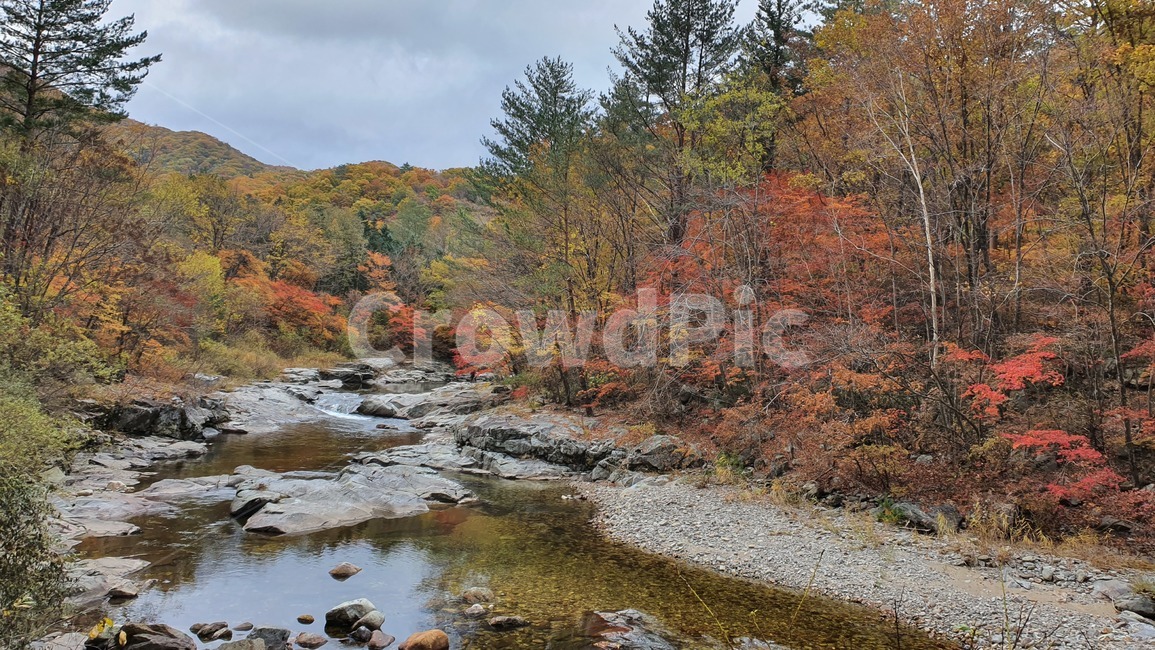 자연,가을,단풍,산,낙엽,가을,계절,fall,autumn,season,자연,풍경,nature,landscape