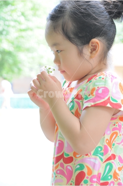 소녀,어린이,꽃향기,여자아이,여름,꽃냄새,여자,여성,작은아이,야외,풍경,역광,옆모습,옆얼굴,원피스,공원,밝은,따뜻한,아름다운,girl,flower,summer,littlegirl,향기로운,설레임,설렘,Koreangirl,Asiangirl,scent,fragrance,사람,인물,인간,human,person,얼굴표정,facial expression,face,어린이,어린아이,child,children,kid