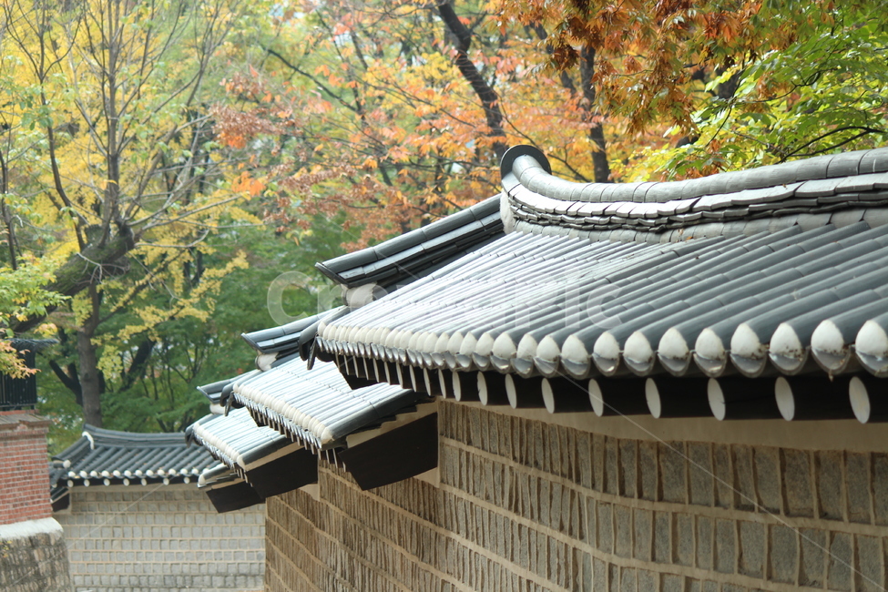 기와,담벼락,가을,단풍,고궁,경치,풍경,덕수궁,가을,계절,fall,autumn,season,한국전통,한국문화,korean traditional,korean culture,건축물,건물외관,exterior,building,structure,architecture,construction,roof,지붕