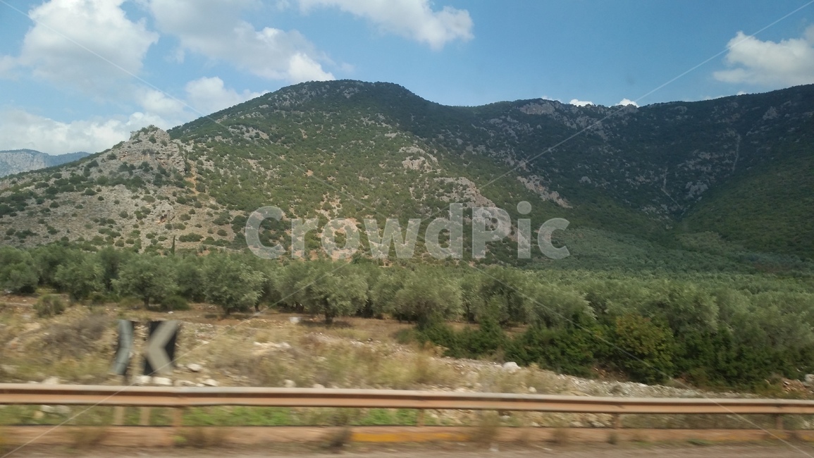 산,올리브,올리브나무,olive,그리스,자연,풍경,nature,landscape