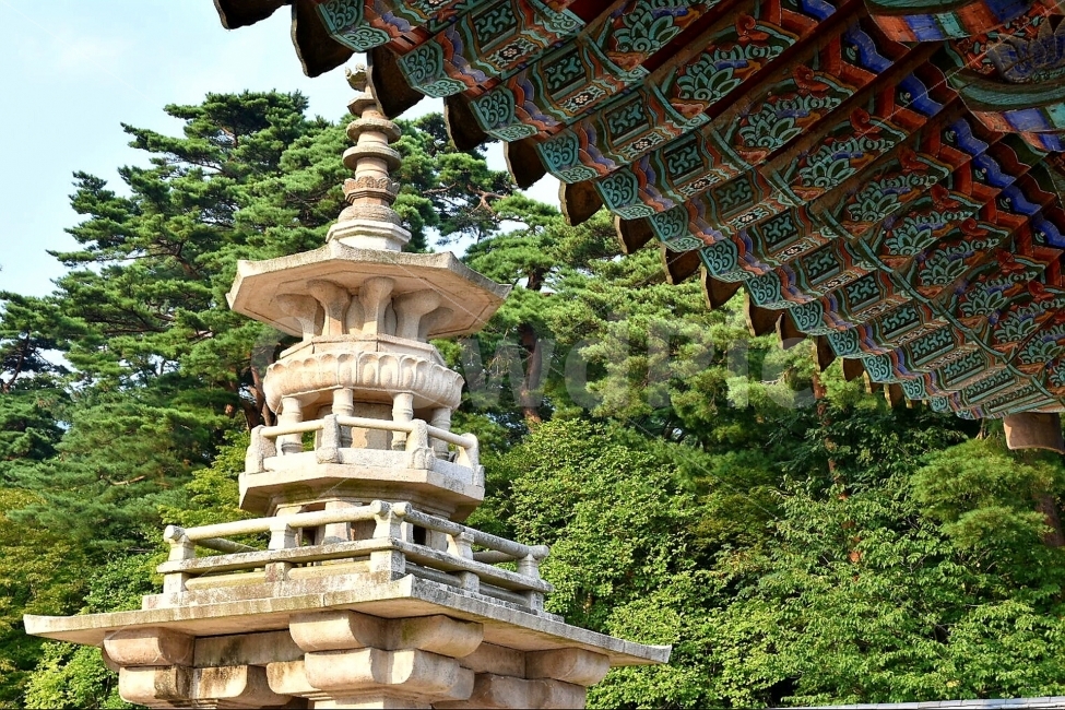 절,탑,다보탑,처마,문양,전통,전통적인,한옥,한국적인,temple,pagoda,korea,랜드마크,landmark,tourist attraction,한국전통,한국문화,korean traditional,korean culture,종교,신앙,religion,belief,faith