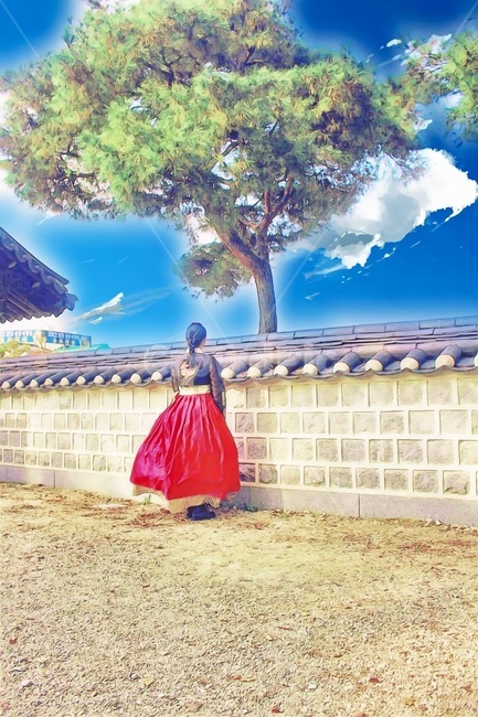 한복,한옥,hanbok,한국,전통옷,여자한복,담장,소나무,한복,한국전통의상,hanbok,korean traditional clothes
