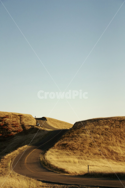 가을,단풍,fall,숲,나무,도로,공원,가을하늘,자연,풍경,nature,landscape,field,들,grassland,목초지,outdoors,옥외