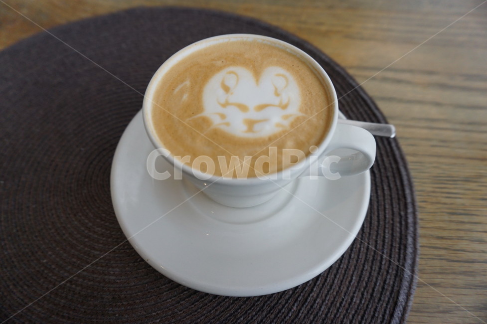 라떼아트,카푸치노,고양이,카페,따스함