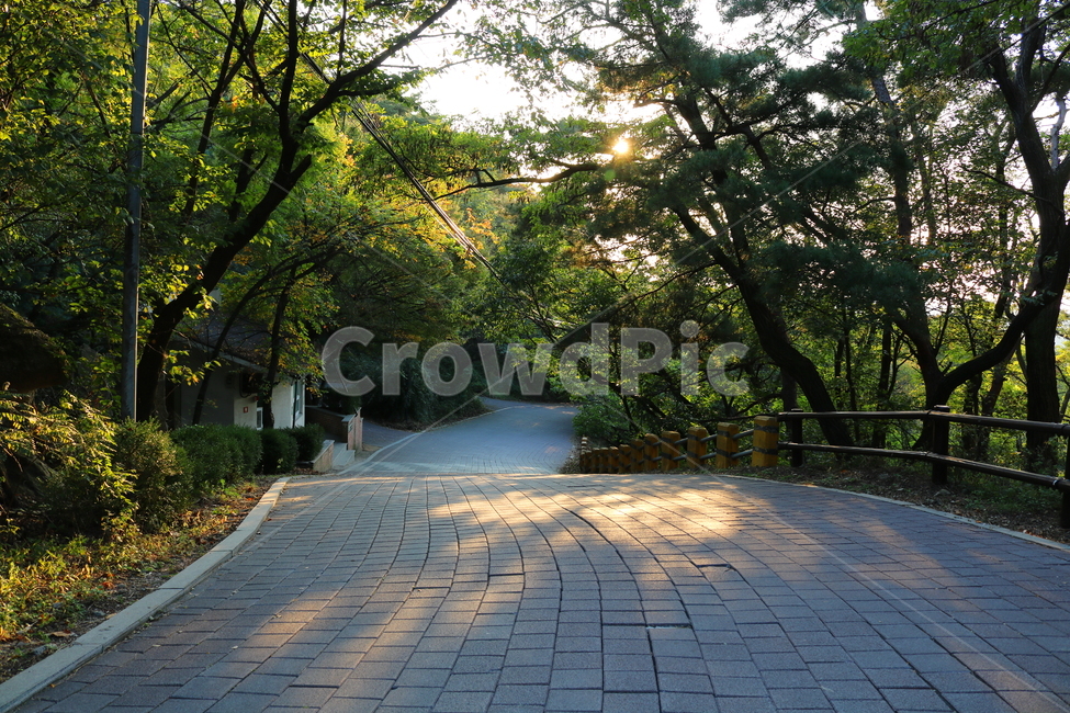 북한산,산책로,등산로,자연,풍경,공원,국립공원,북한산국립공원,길,인도,도로,나무,식물,자연,풍경,nature,landscape