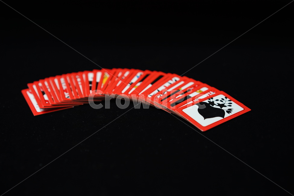 화투,고스톱,게임,놀이,도박,카드,카드게임,card,화투패,화투장,맞고,한국전통,한국문화,korean traditional,korean culture,게임,오락,놀이,game,play
