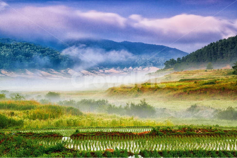 합천호,안개,호수,물안개,아침,자연,풍경,nature,landscape,한국자연풍경,한국자연경관,korea nature landscape,산업,industry,industrial,농업,농사,agriculture,farming,farming industry,outdoors,옥외,scenery