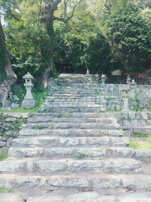 계단,사원,나무,풍경,초록,돌계단