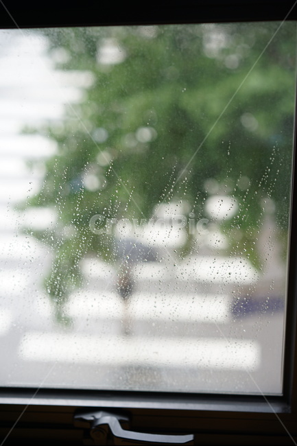 비,창문,창가,흐림,횡단보도,비,비오는날,rain,rainy